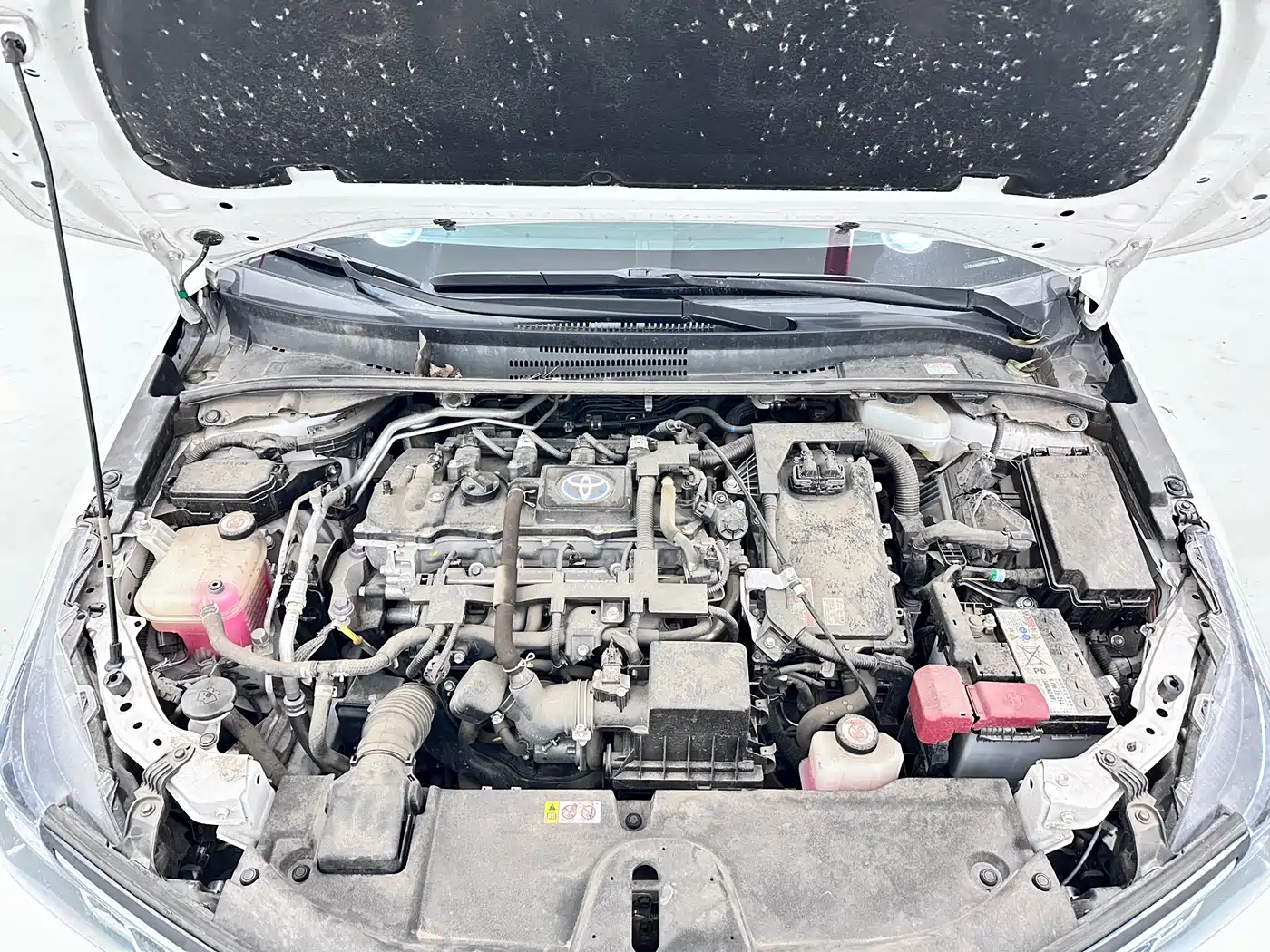 Toyota Corolla 2021 Hybrid 1.8L E-CVT Pioneer Edition фото 10