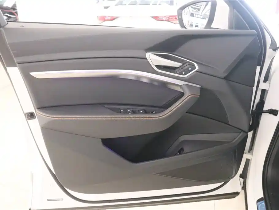 Audi e-tron 2021 50 quattro Luxury фото 12