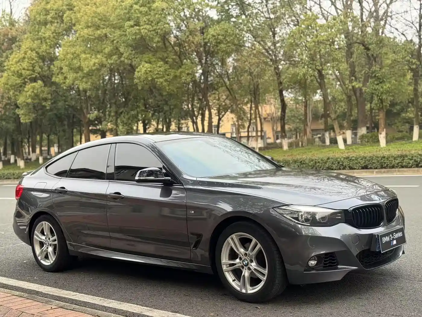BMW 3 Series GT 2017 320i M Sport фото 3