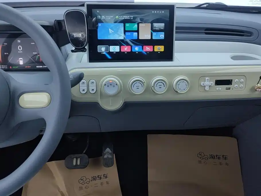 BESTUNE PENTIUM PONY