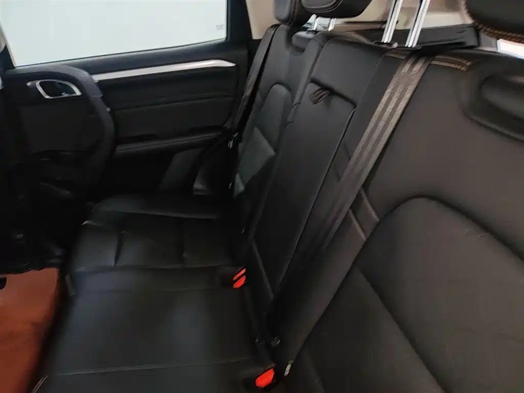 Haval Big Dog 2021 1.5T DCT 2WD Border Collie Edition фото 17