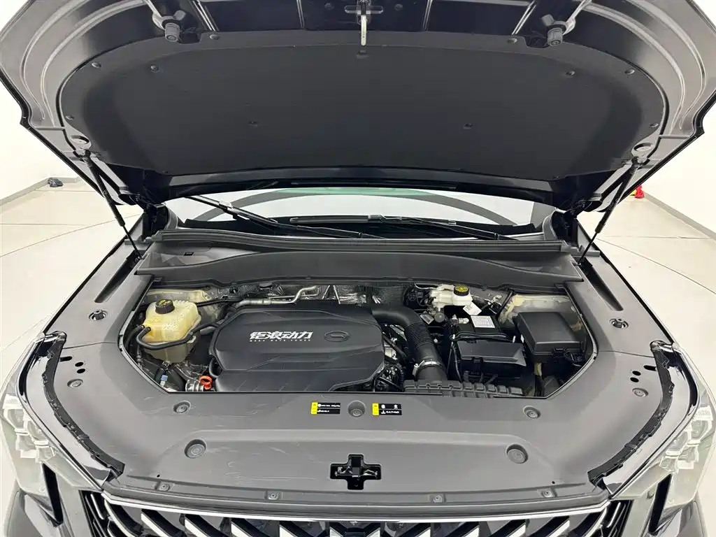 GAC Trumpchi Trumpchi GS8 2025 Pilot Series 2.0TGDI 2WD Luxury Edition 5-seater фото 25