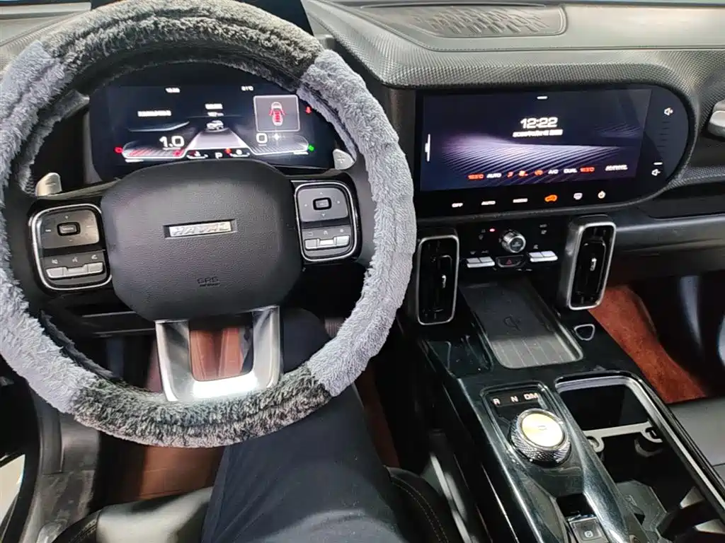 Haval Big Dog 2021 1.5T DCT 2WD Border Collie Edition фото 10