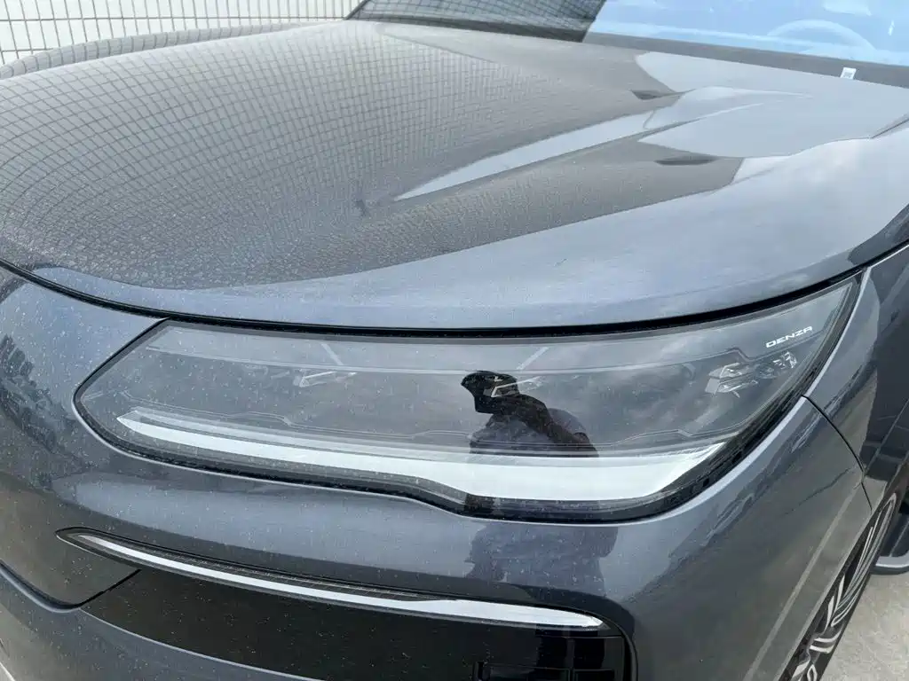 Denza N9 2025 2025 Model Prestige Edition