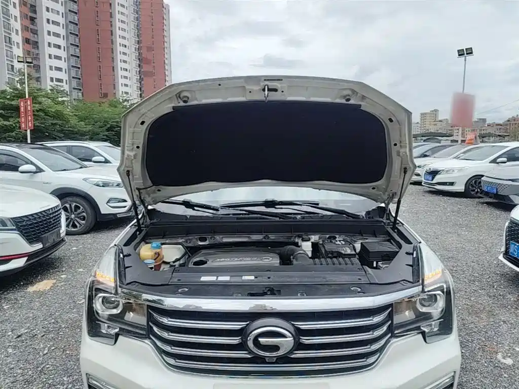 GAC Trumpchi Trumpchi GS8 2017 320T 2WD Luxury Edition (7-Seater) фото 20