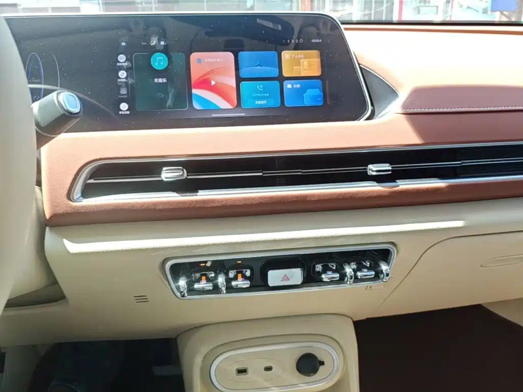 Ora Good Cat 2025 2024 501km Luxury