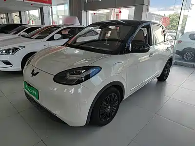 Wuling Bingo