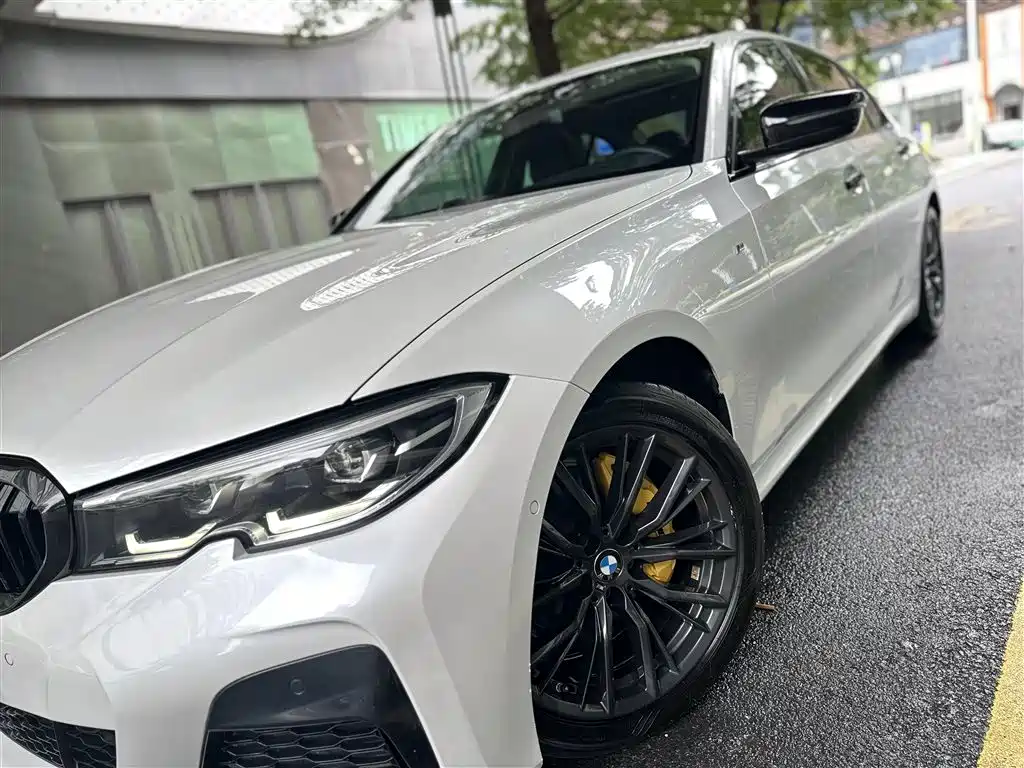 BMW 3 Series 2020 325Li M Sport Black Night Package фото 12