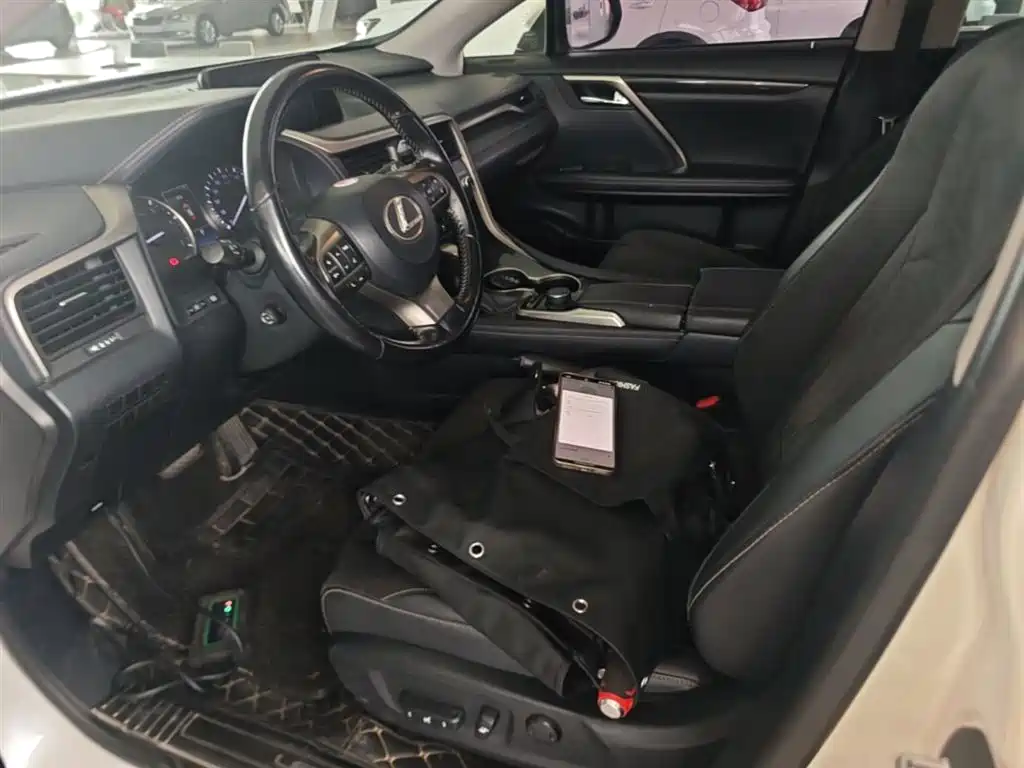 Lexus RX 2016 300 2WD Elite Edition (China V) фото 15