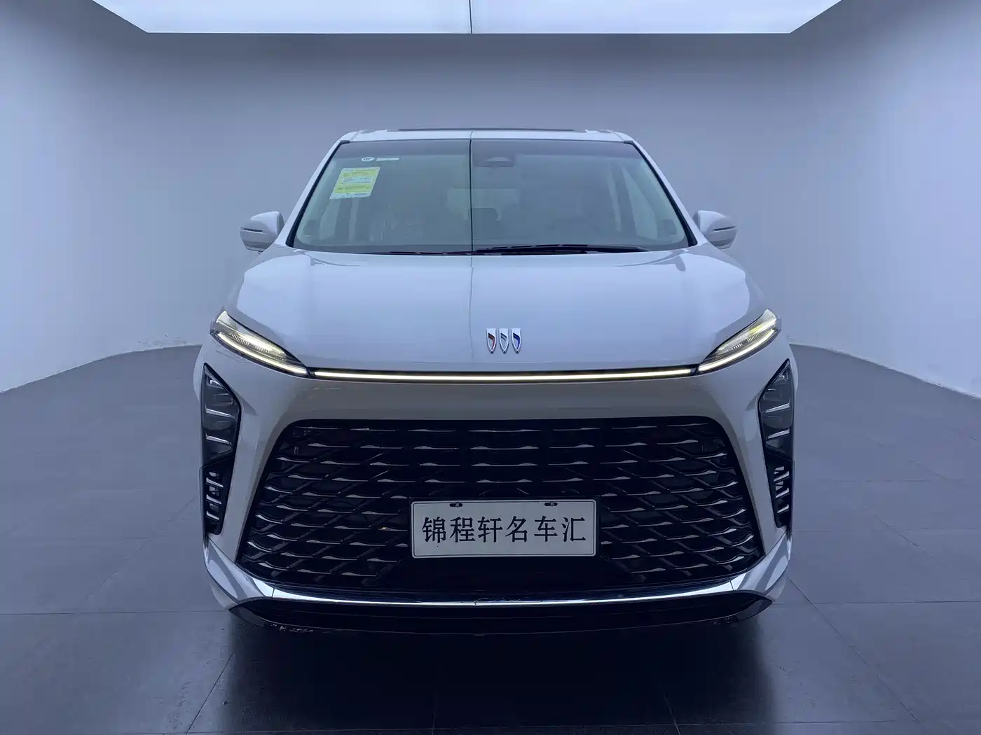 BUICK GL8 NEW ENERGY