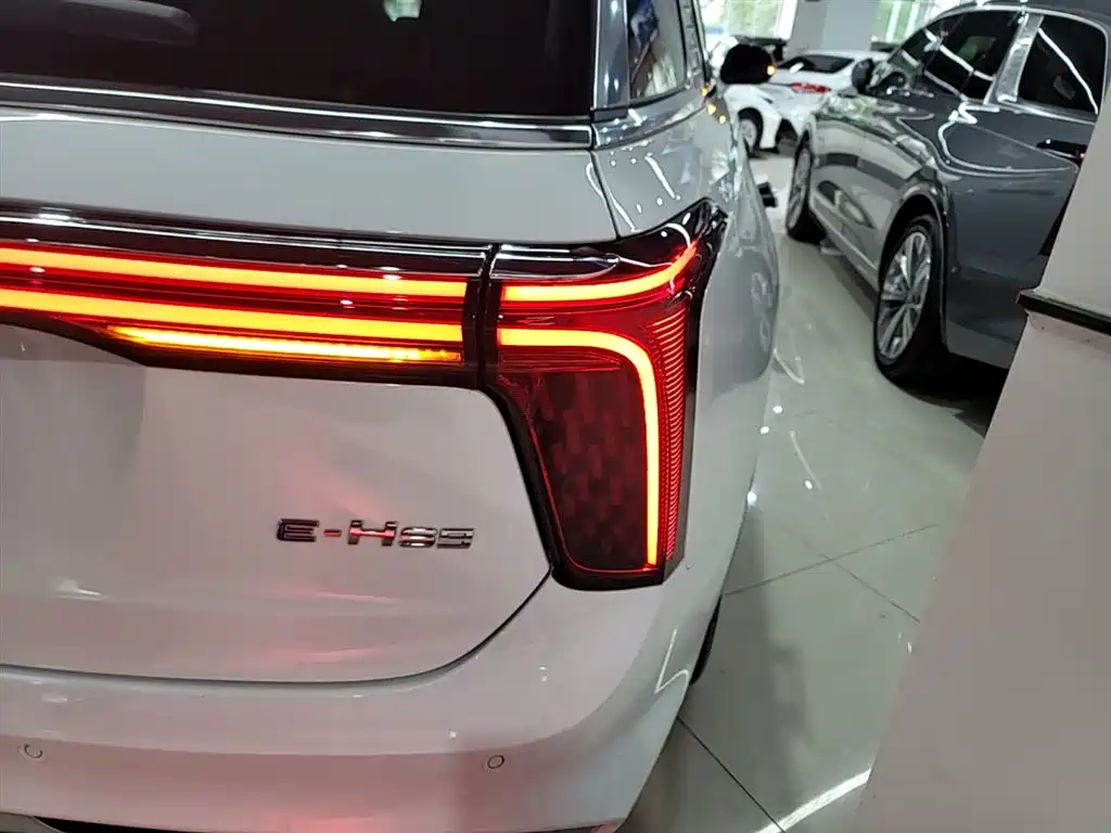 Hongqi E-HS9 2022 660km Qi Chang Edition (6-seater) фото 8