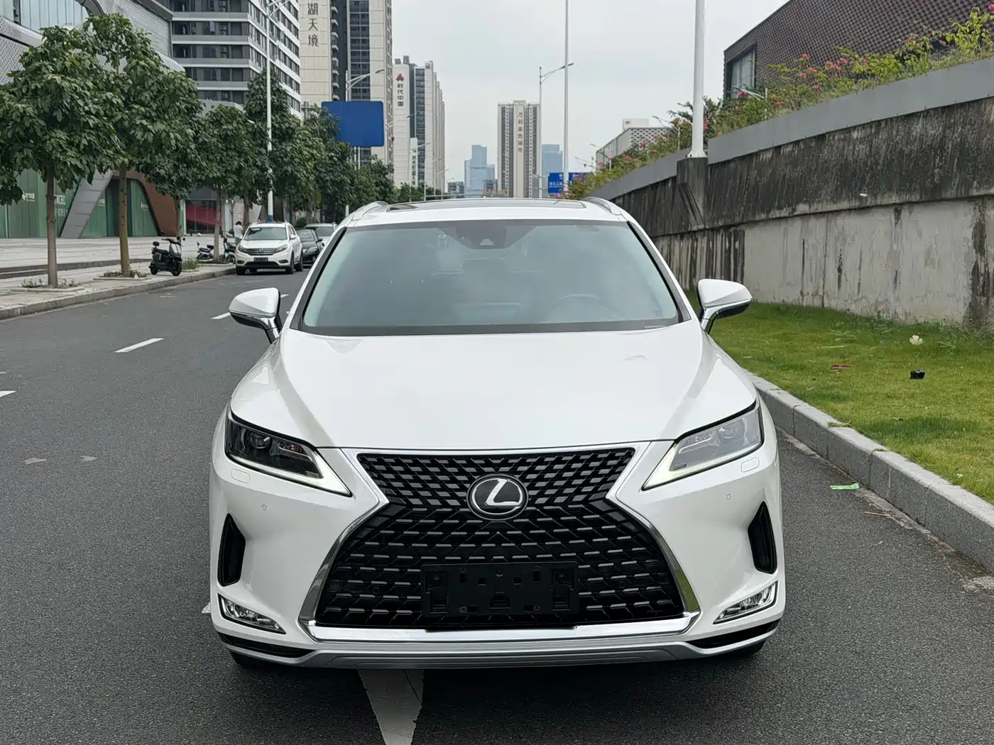 Фото 2 - Lexus RX