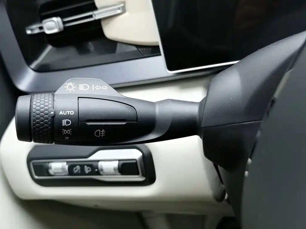 Фото 21 - Geely ICON