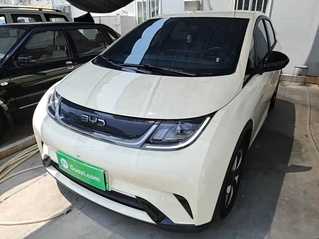 BYD Dolphin 2026 2025 420km Freedom Edition