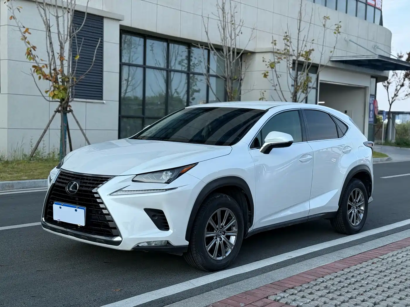 Lexus NX 2018 Model 300 FWD Fengxing Edition