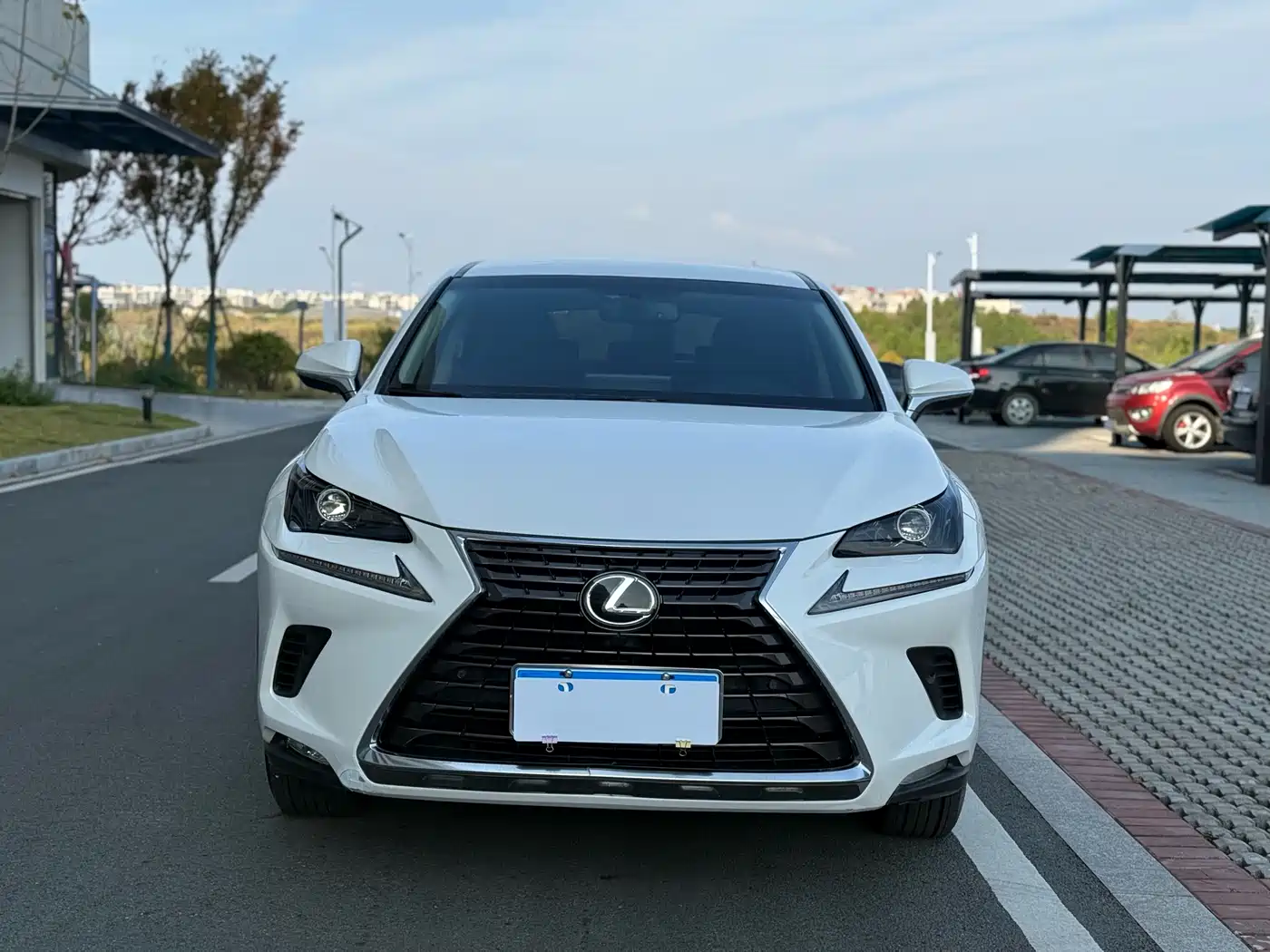 Lexus NX 2018 Model 300 FWD Fengxing Edition фото 2