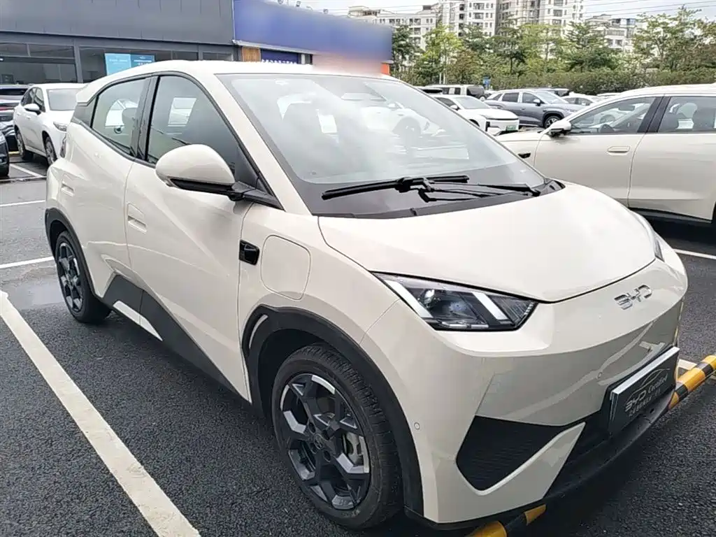 BYD Seagull 2025 Smart Drive Edition 305km Freedom Version фото 4