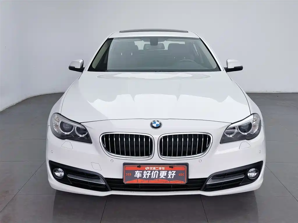 BMW 5 Series (Import) 2015 520i Elegance фото 3