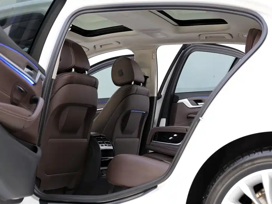 BMW 5 Series 2018 530Li Leading Luxury Package фото 6