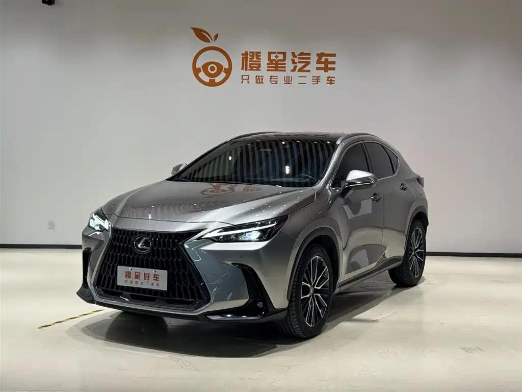 Фото 1 - Lexus NX