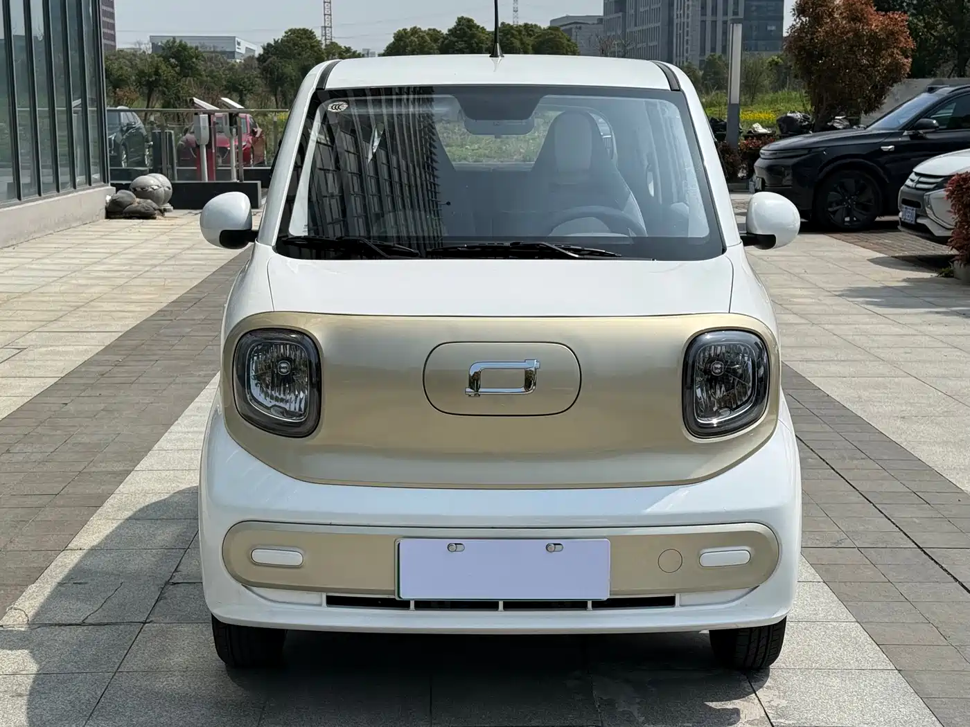 BESTUNE PENTIUM PONY