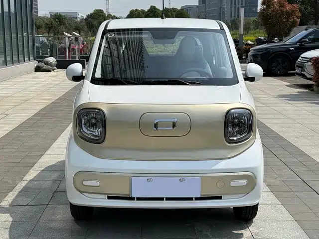 BESTUNE PENTIUM PONY