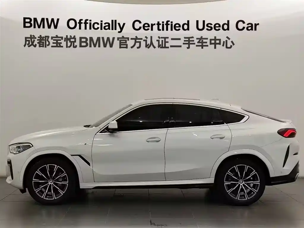 BMW X6 2022 Facelift xDrive40i M Sport Package фото 3