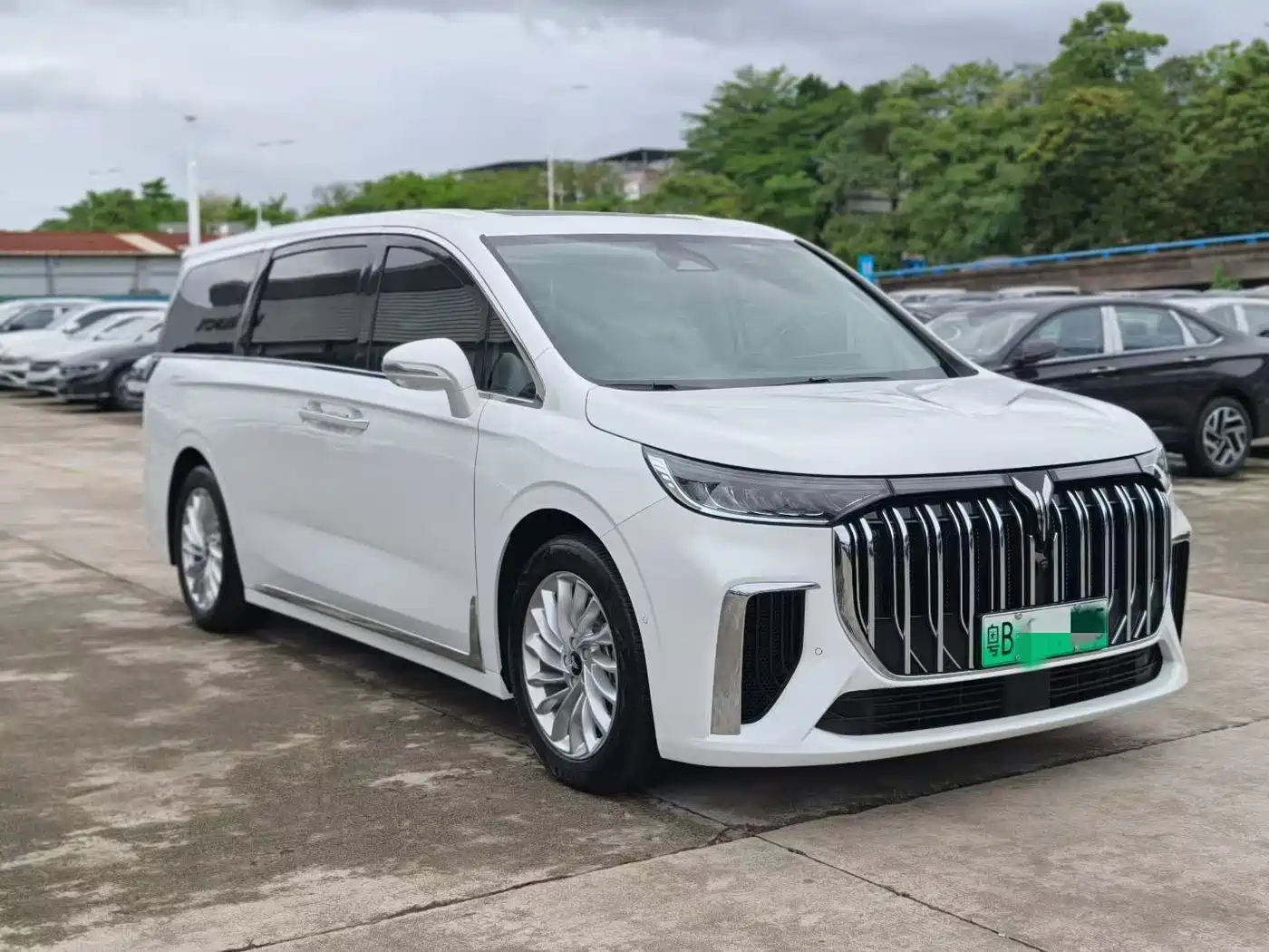 Voyah Auto Voyah Dreamer 2024 PHEV Extended Range Premium Edition фото 3