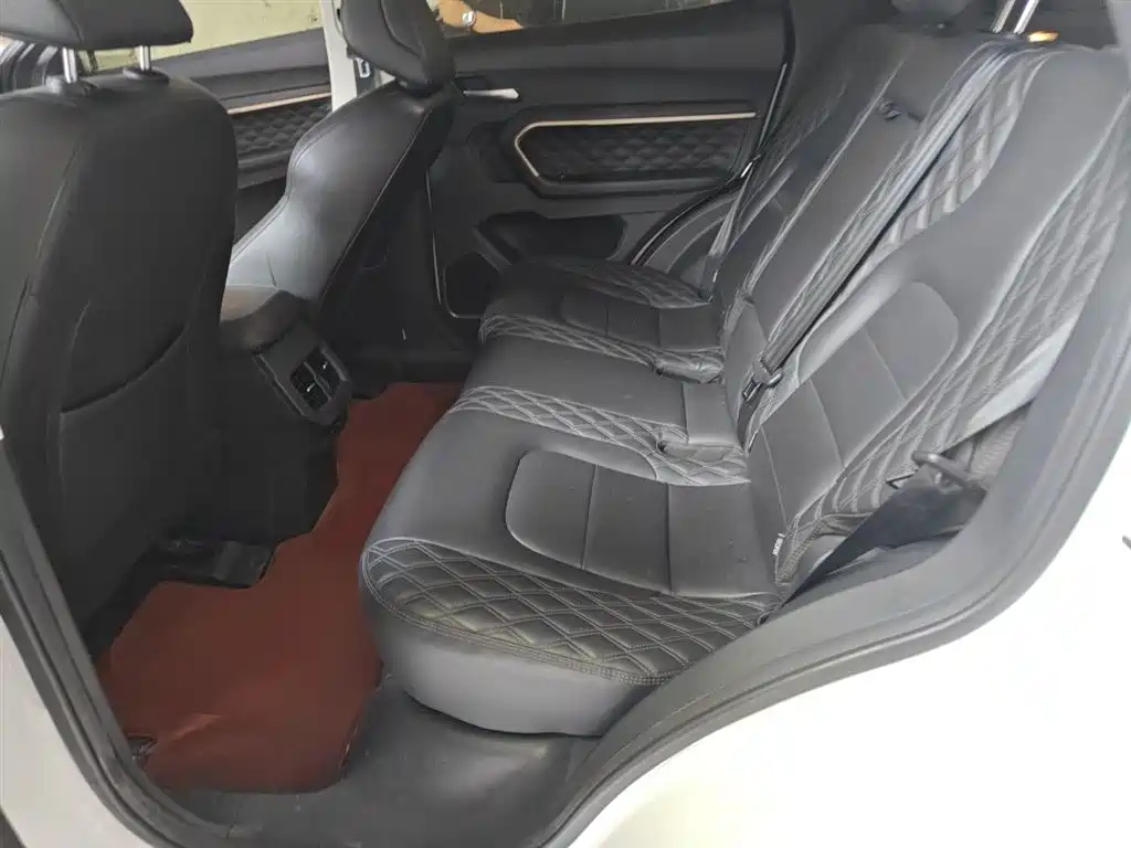 Haval H6 2020 1.5GDIT Automatic Platinum Champion Edition фото 14