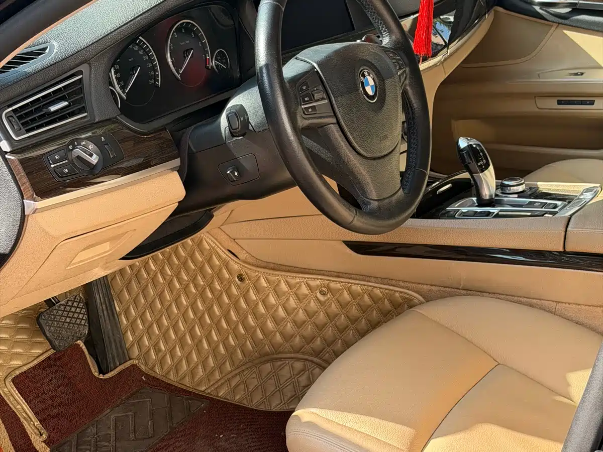 BMW 7 Series 2009 730Li Leading фото 6