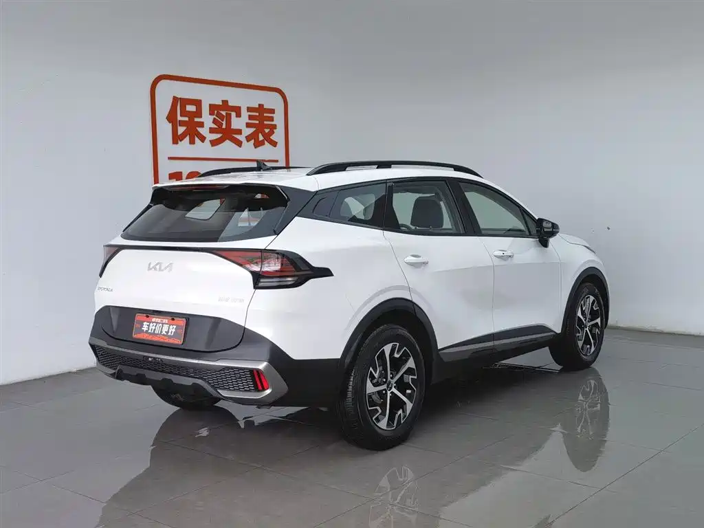 KIA LION PLATINUM EXPANDS THE WORLD