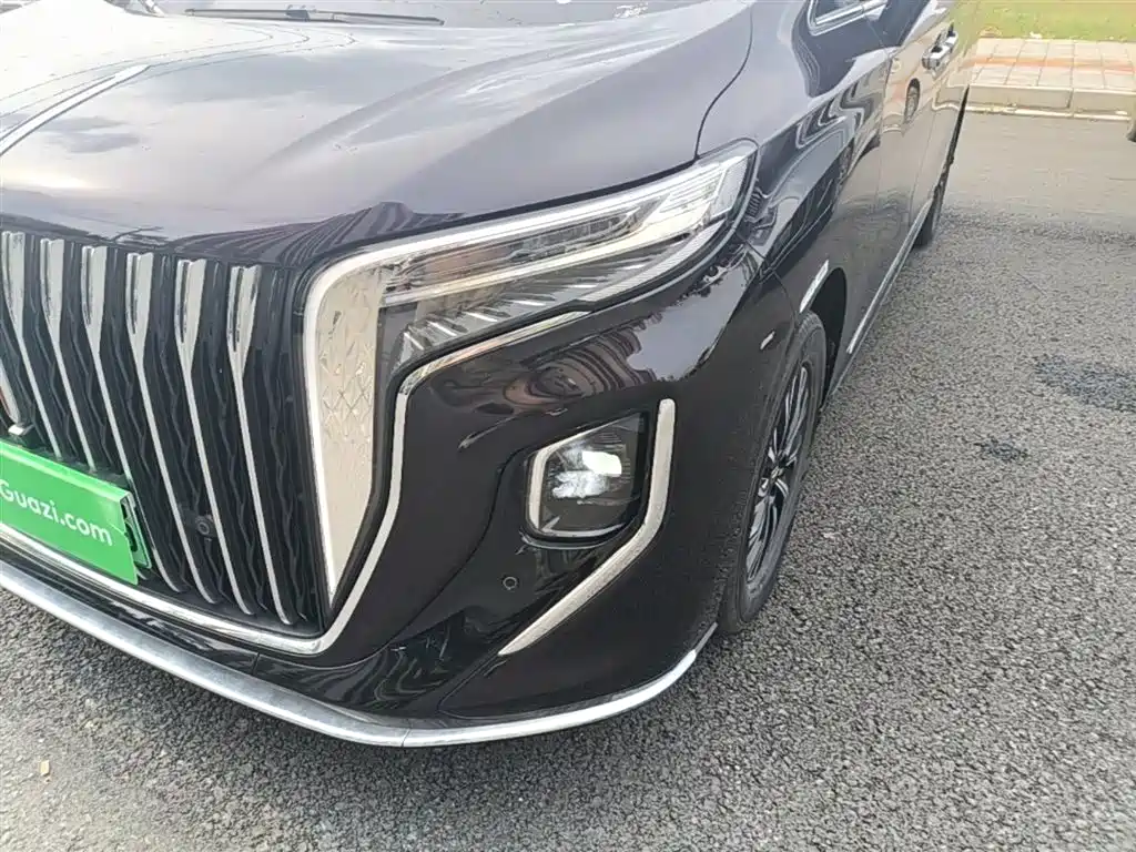 Hongqi HQ9 PHEV 2024 Model 2.0T AWD Business Edition фото 24