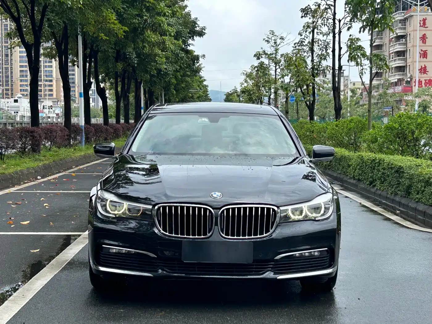 BMW 7 Series 2016 730Li Leading фото 2