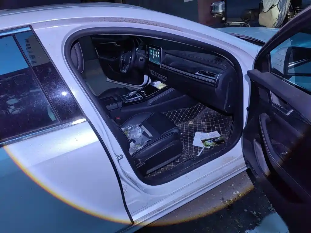 BYD Qin Pro New Energy 2019 2019 EV Super Edition High Power Long Range Smart Connected Leader Type