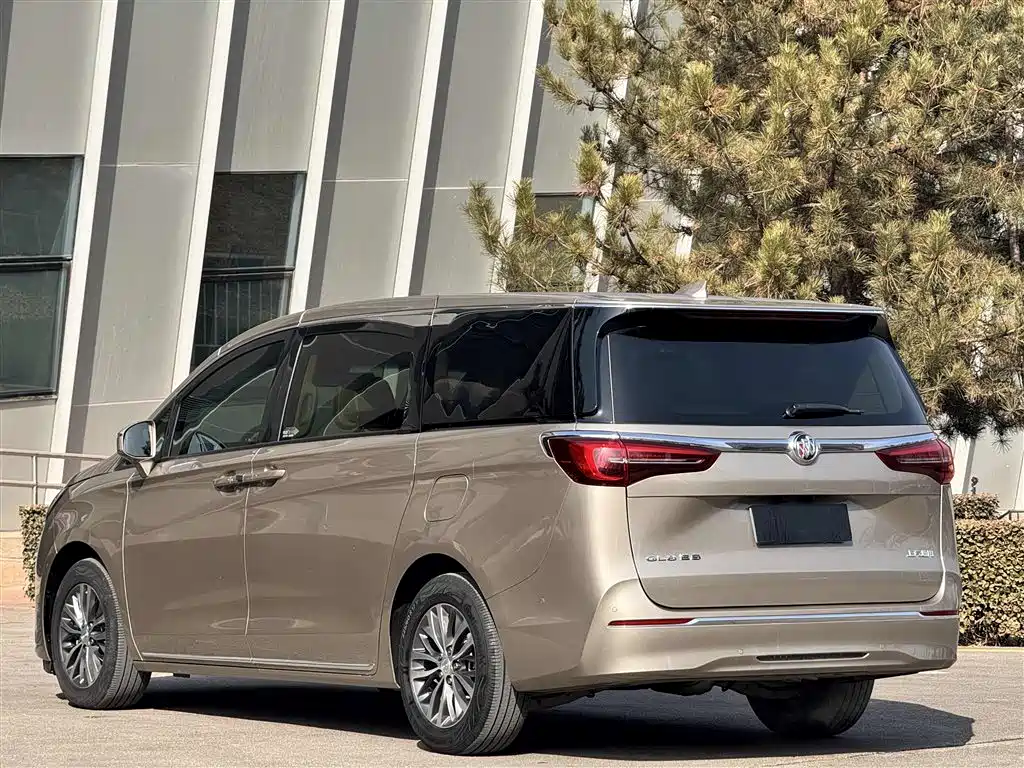 Buick GL8 2023 ES Landmaster Exclusive фото 12