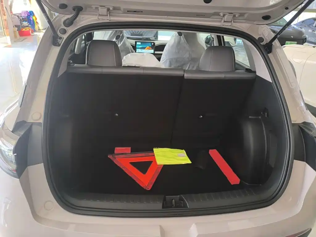 Geely Galaxy Starry Wish 2026 2026 Edition 310km Youth Version