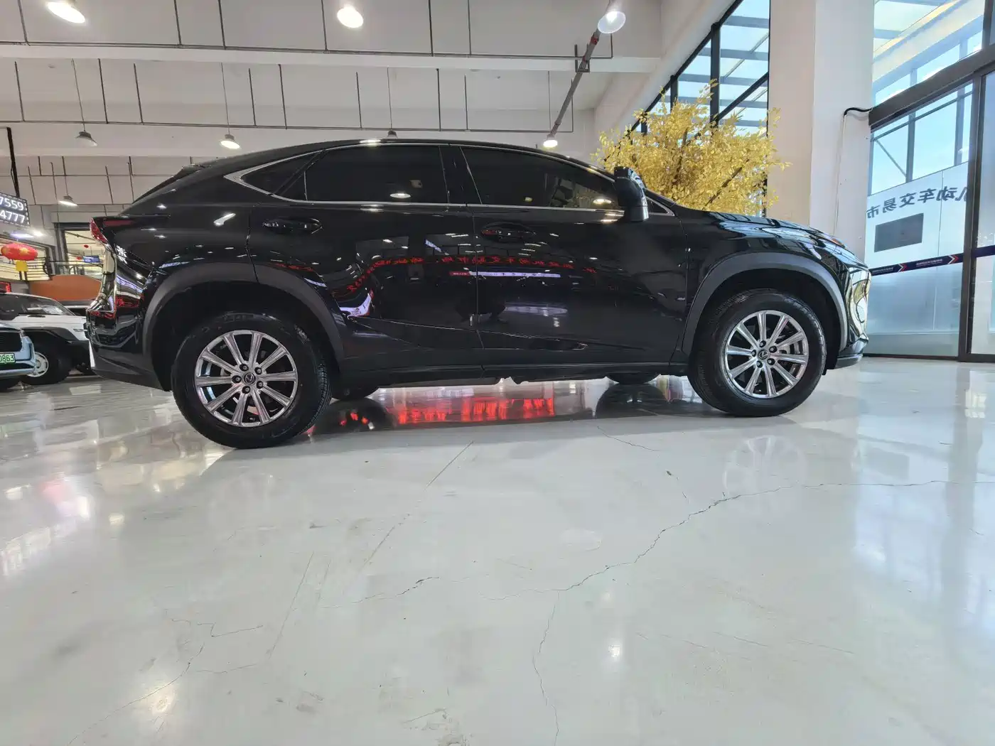 Фото 24 - Lexus NX
