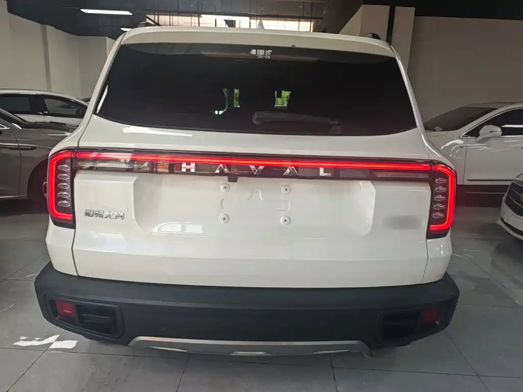 Haval Big Dog 2025 2024 1.5T DCT Border Collie Edition