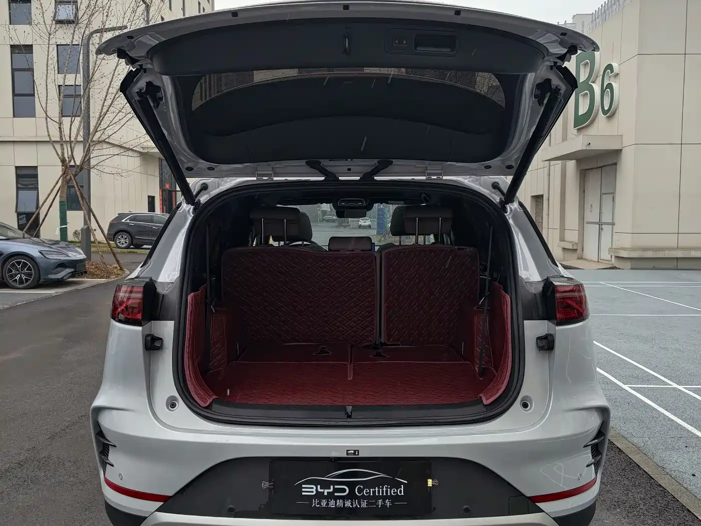 BYD Tang New Energy 2025 Smart Driving Edition DM-i 115KM Honor фото 11