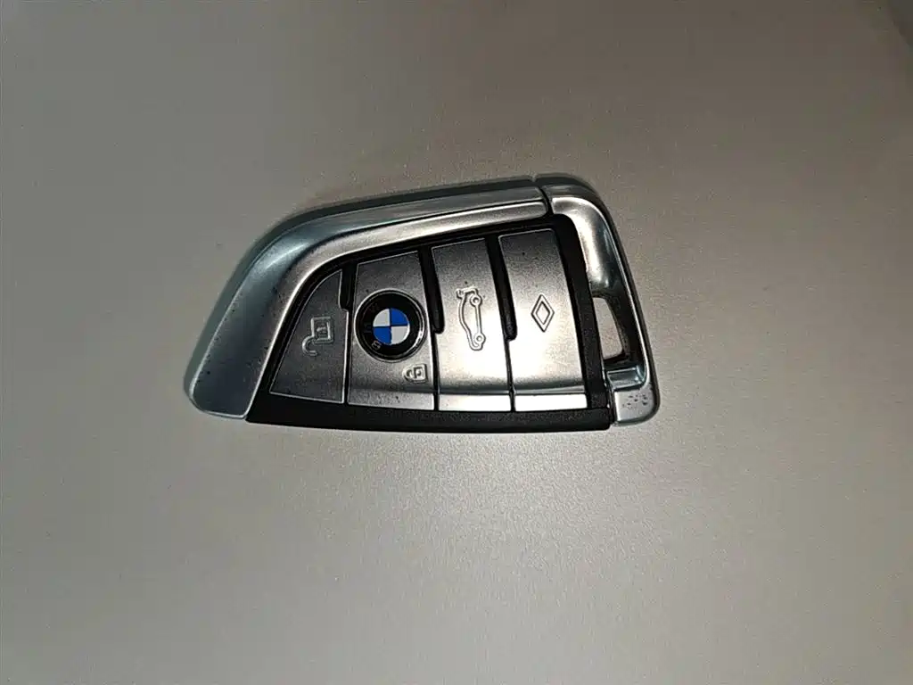 BMW 5 Series 2020 525Li Luxury Package фото 9