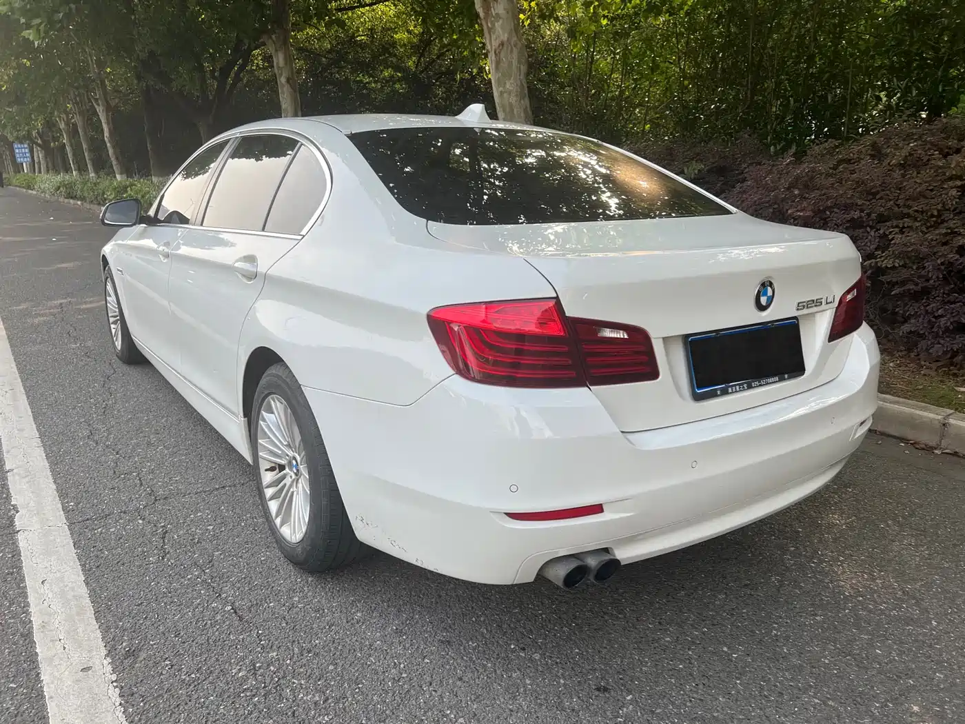 BMW 5 Series 2014 525Li Leading фото 4