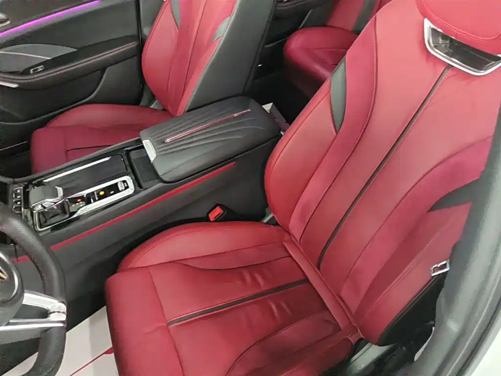 Hongqi H6 2023 2.0T Premium Edition фото 22