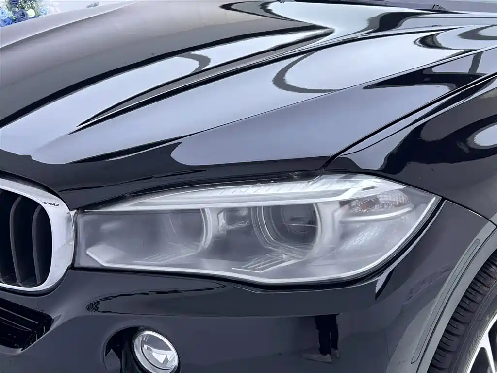 BMW X5 (Import) 2014 xDrive35i Leading фото 12
