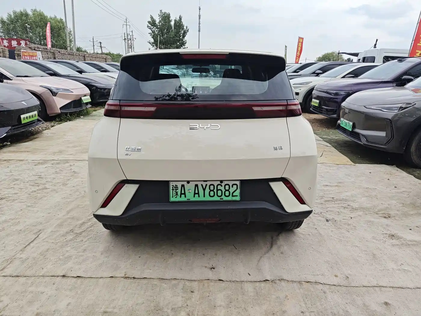 BYD Seagull 2024 Glory Edition 305km Freedom Edition фото 5