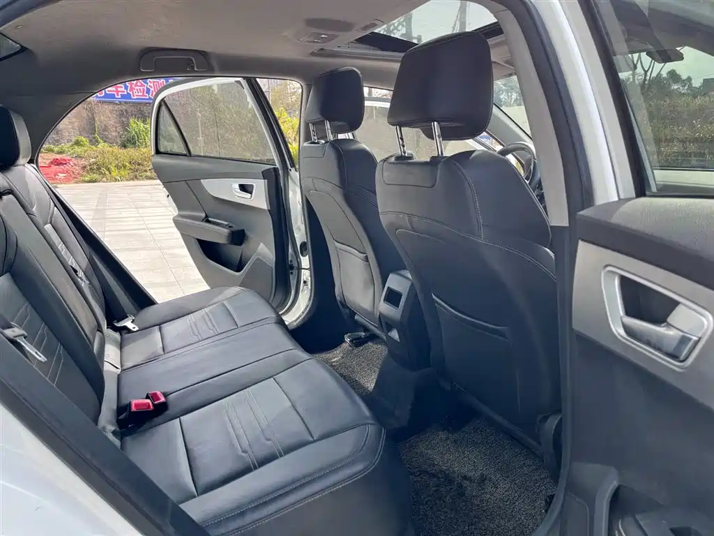 BYD Qin New Energy 2019 Long Range Luxury Edition фото 9