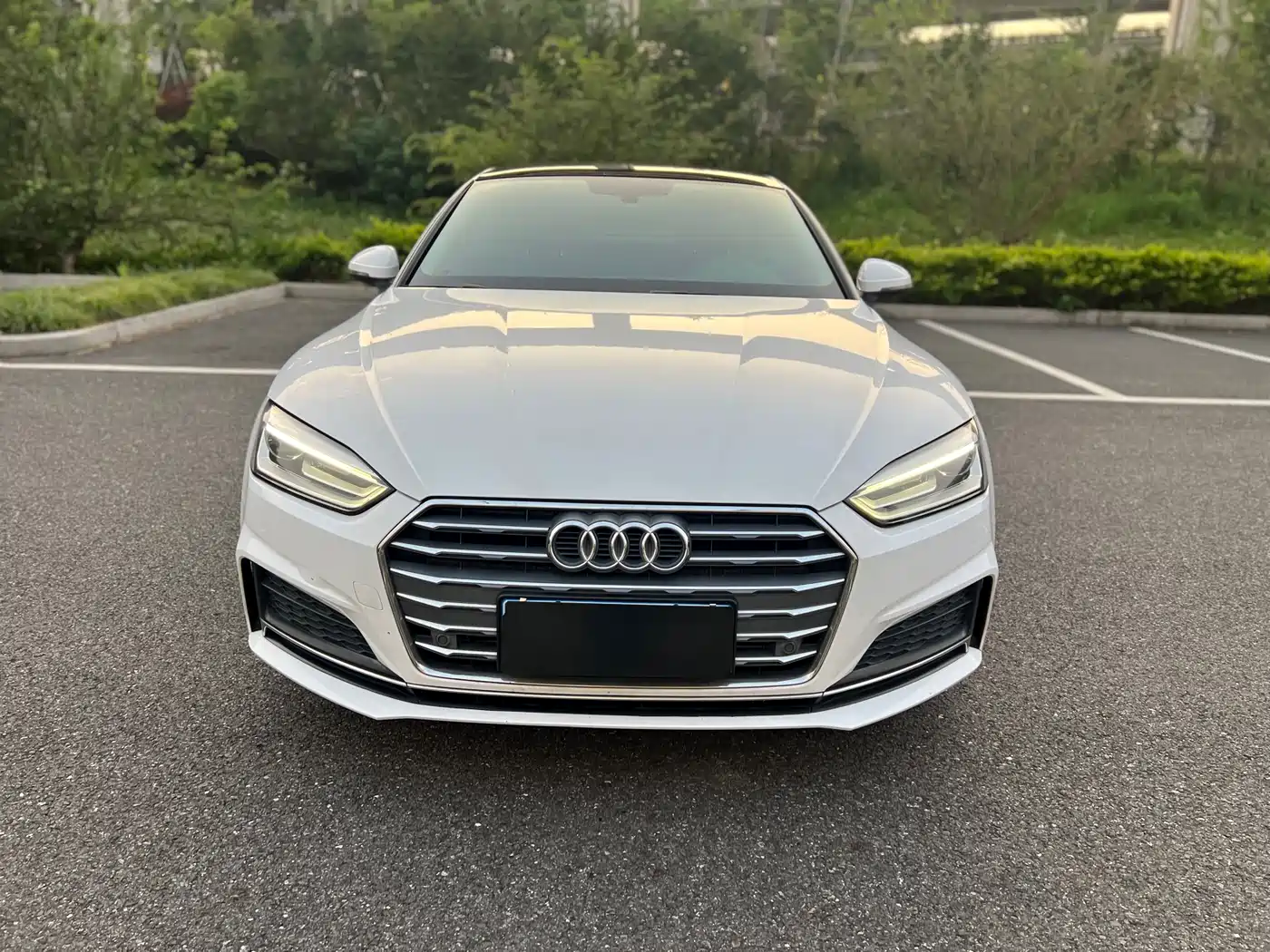 Audi A5 (Import) 2017 Coupe 40 TFSI Style фото 2