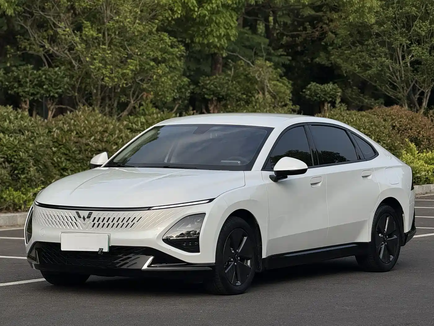 Wuling Motors Wuling Xingguang 2023 70 Standard Edition