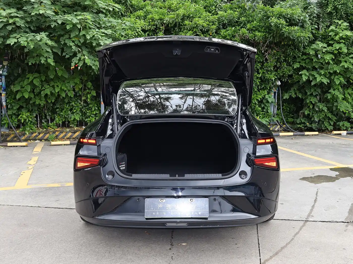  P7