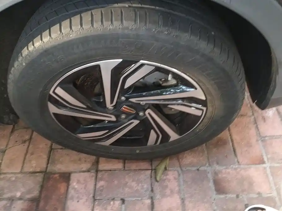 Hongqi HS5 2022 2.0T Smart Connect Premium Edition фото 6