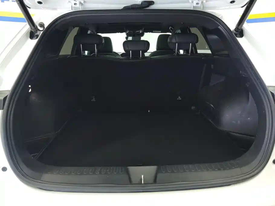 Haval Shenshou 2022 2022 1.5T Smart Enjoyment Edition